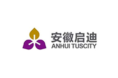 安徽启迪科技城投资发展有限公司